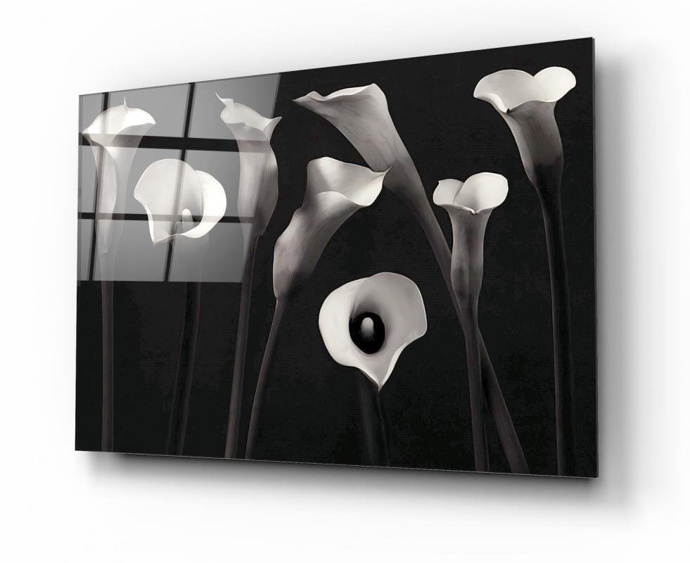 Monochrome Floral Composition Tempered Glass Wall Art, primary product view, model 0GA0460