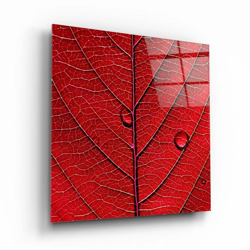 Crimson Leaf Macro Square Glass Wall Art, front angled view