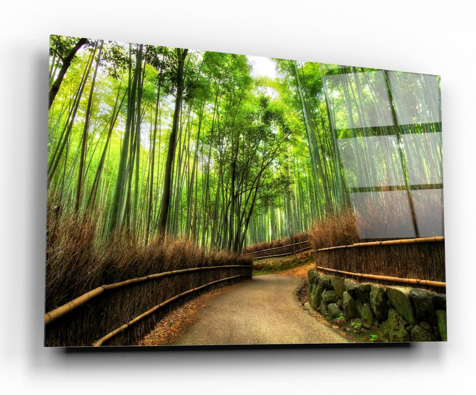 Multicolor Forest Landscape Tempered Glass Wall Art, primary product view, model GA1143