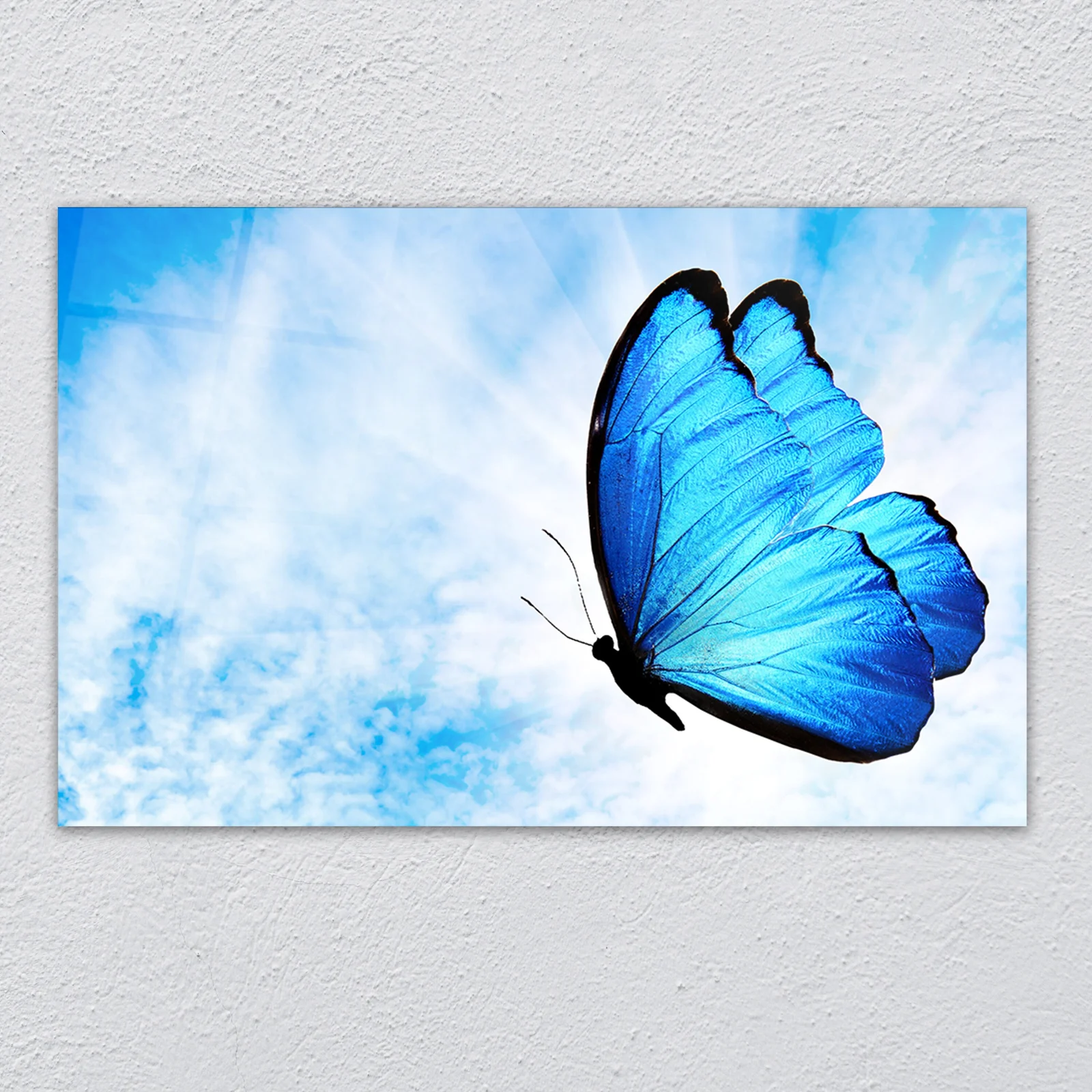 Blue morpho butterfly in sky glass wall art shown as home wall decor