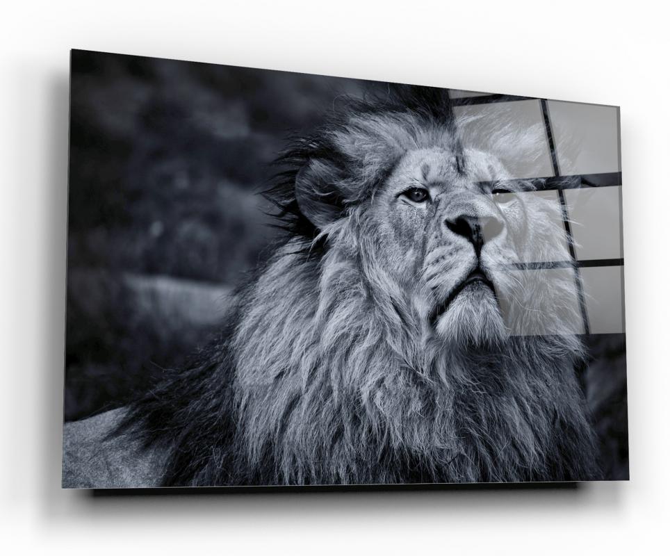 Monochrome Majestic Lion Tempered Glass Wall Art, primary product view, model GA1081