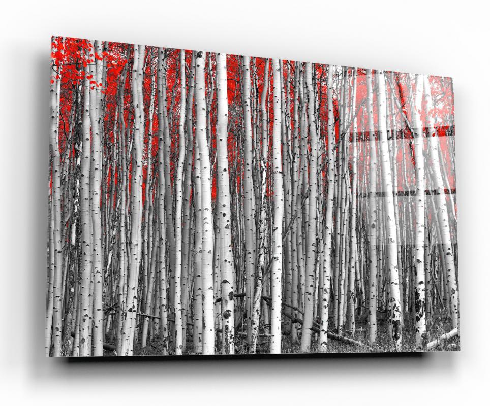 Multicolor Forest Landscape Tempered Glass Wall Art, primary product view, model GA1062