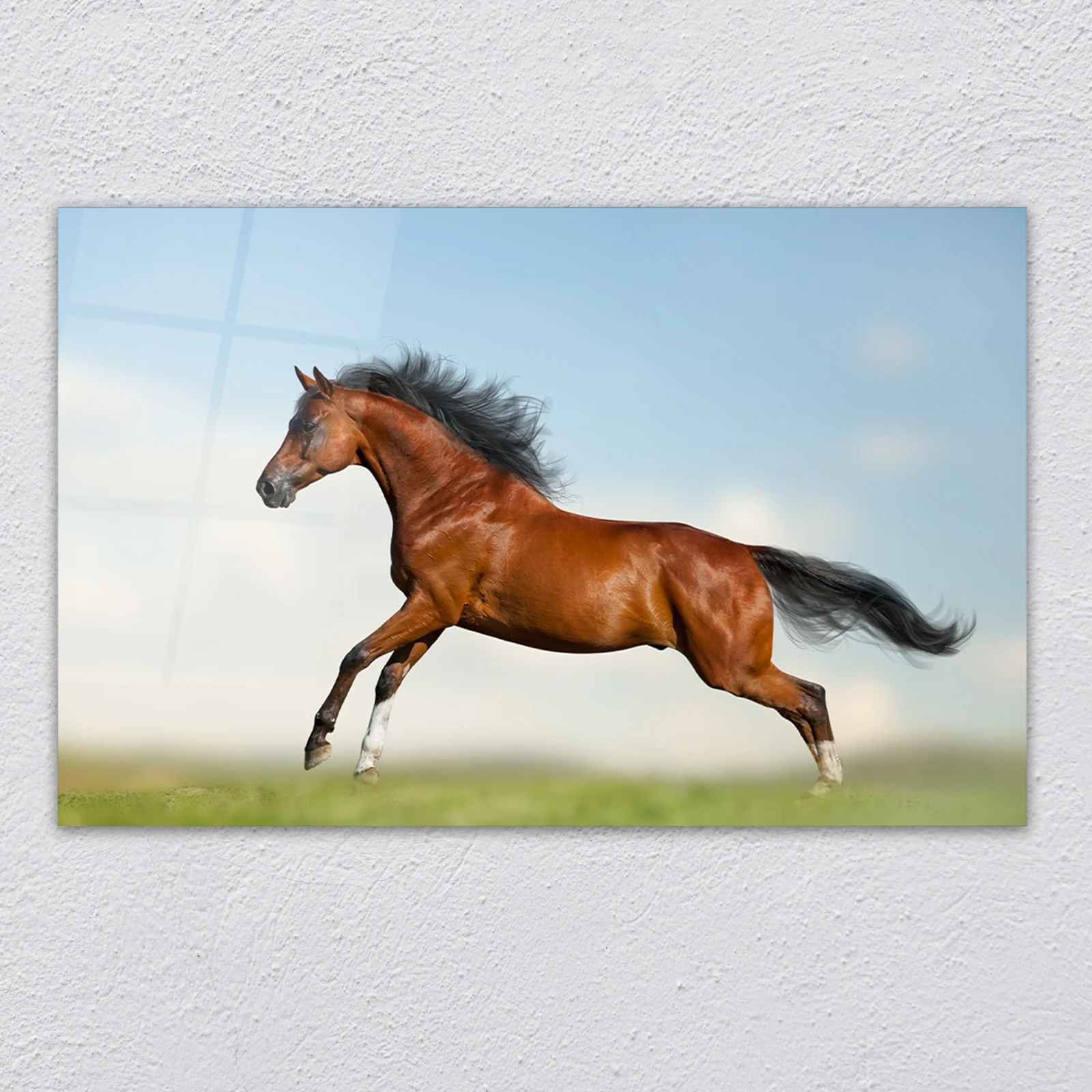 Bay horse galloping in field glass wall art shown as home wall decor