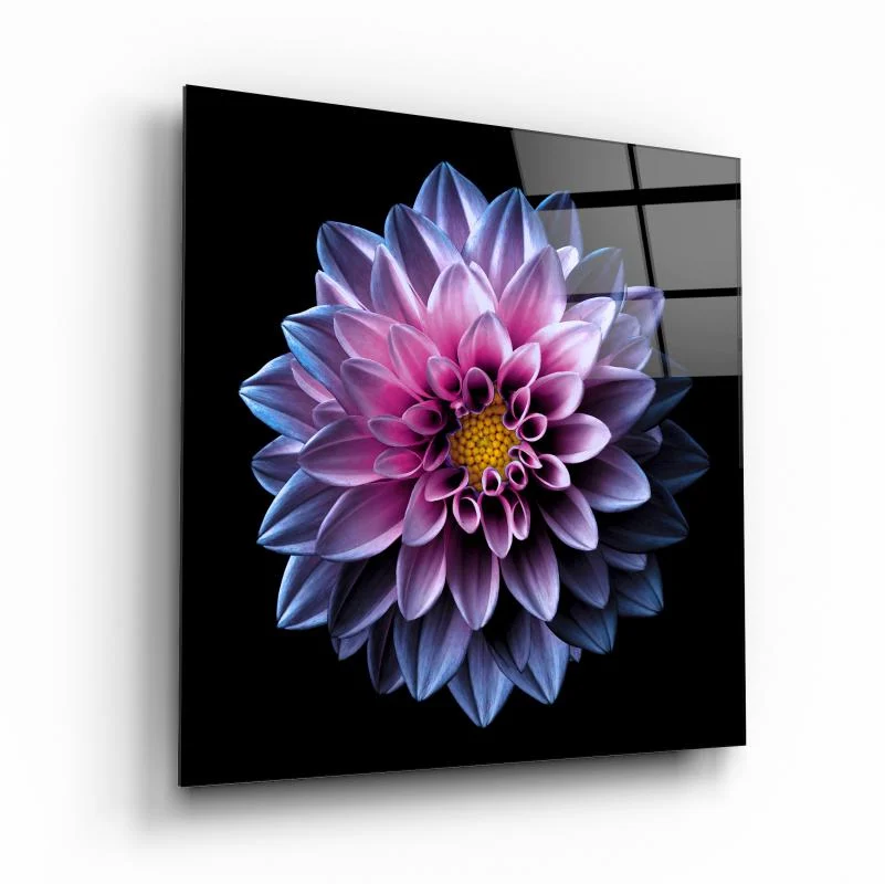 Luminous Purple Dahlia Square Glass Wall Art, front angled view