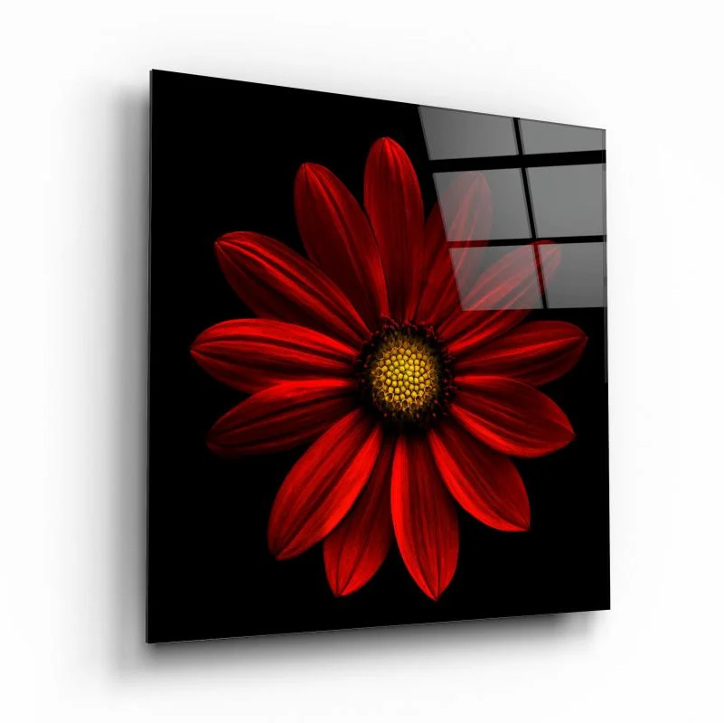 Deep Red Daisy Square Glass Wall Art, front angled view