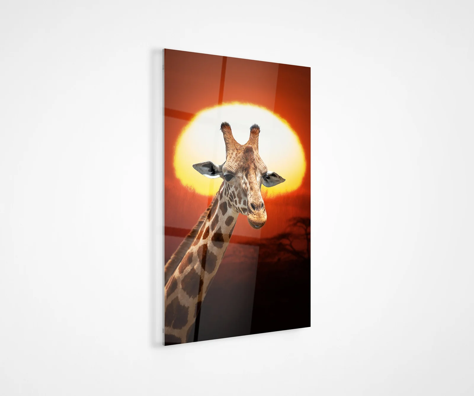 Giraffe at orange sunset glass wall art as a statement piece in a hallway